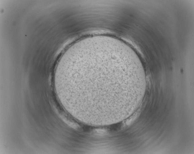 X0000078310159200611251542