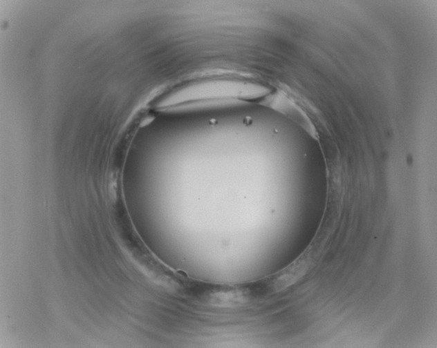 X0000078310160200611251542