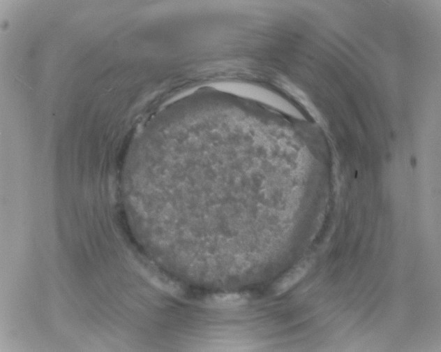 X0000078310161200611251542