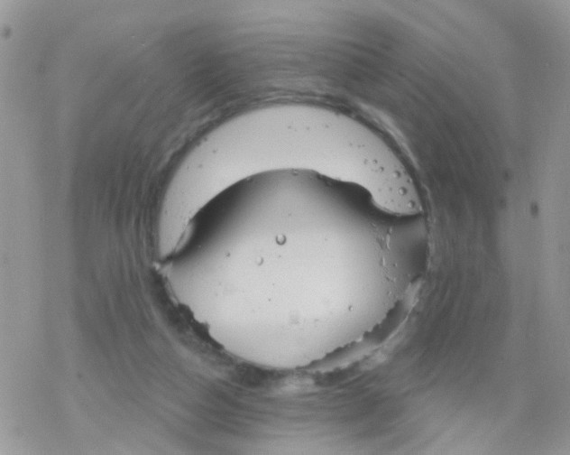 X0000078310162200611251542