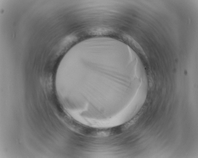 X0000078310163200611251542