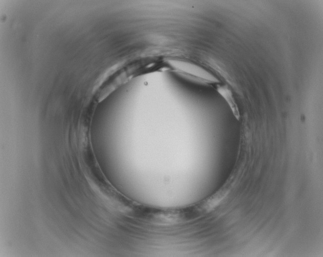 X0000078310164200611251542