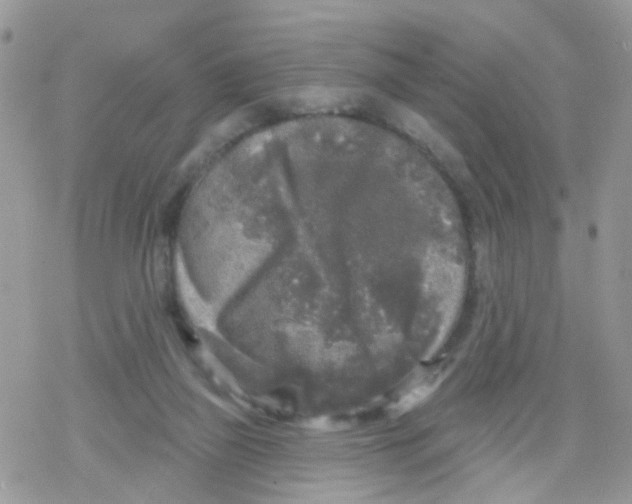 X0000078310165200611251542