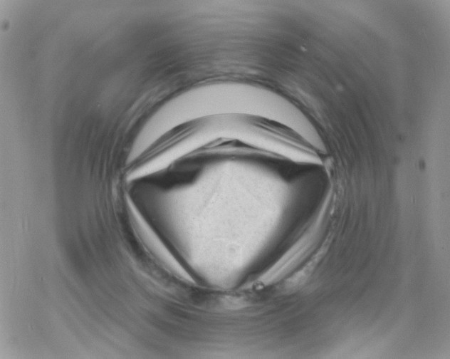 X0000078310166200611251542