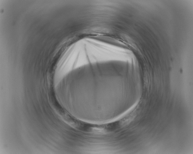 X0000078310167200611251542