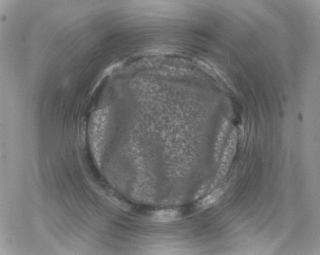 X0000078310168200611251542