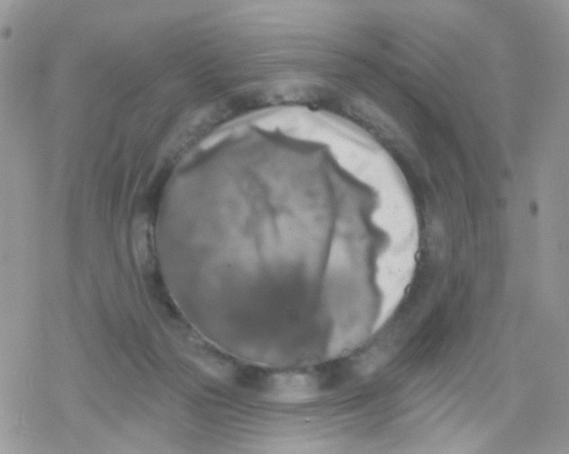 X0000078310169200611251542