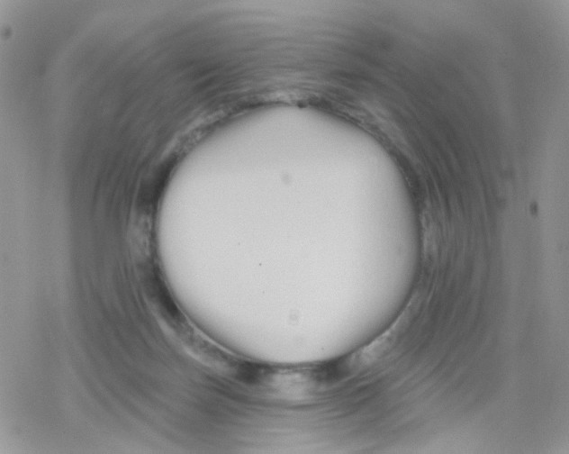 X0000078310171200611251542