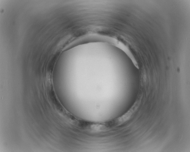 X0000078310172200611251542