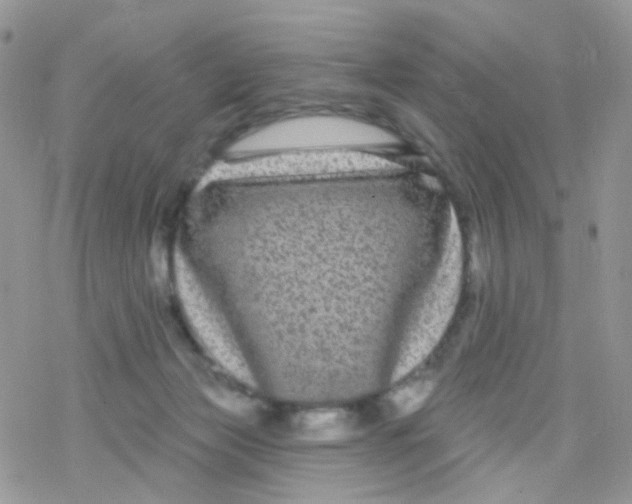 X0000078310173200611251542