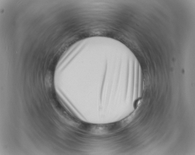 X0000078310174200611251542