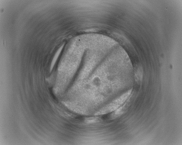 X0000078310175200611251542