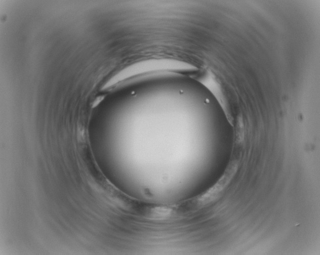 X0000078310176200611251542