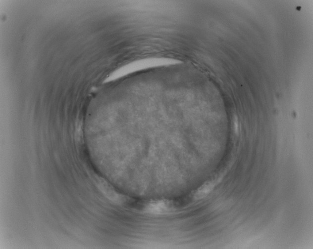 X0000078310177200611251542