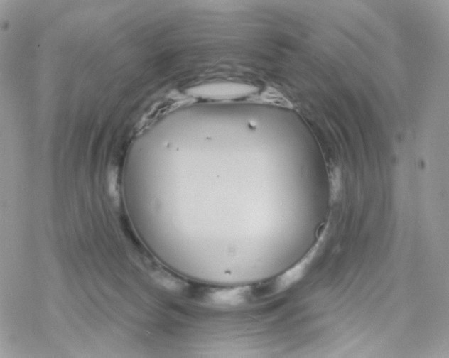 X0000078310178200611251542