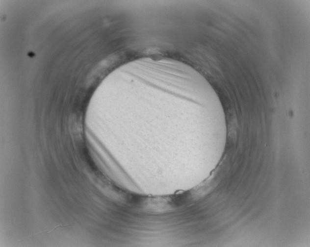 X0000078310179200611251542