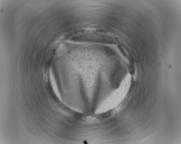 X0000078310180200611251542