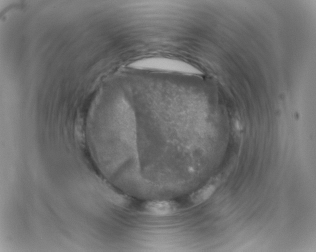 X0000078310181200611251542