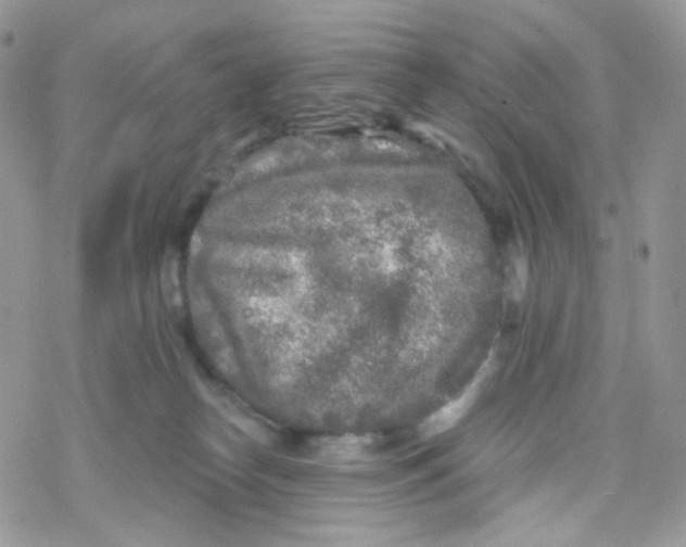 X0000078310182200611251542