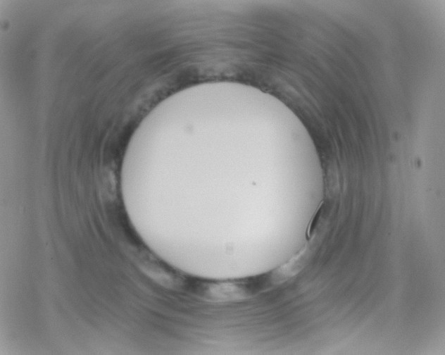 X0000078310183200611251542