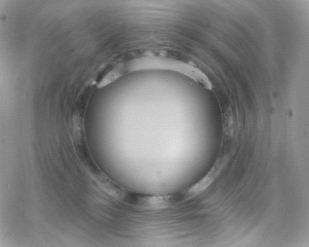 X0000078310184200611251542