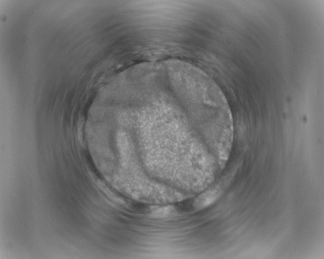 X0000078310185200611251542