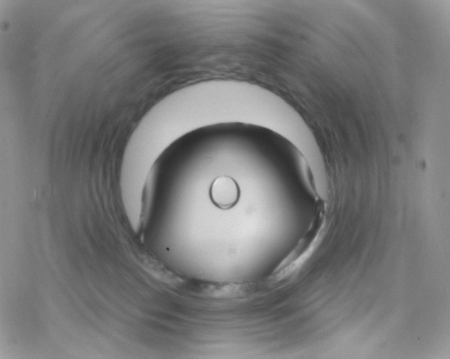 X0000078310186200611251542