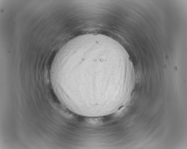 X0000078310187200611251542