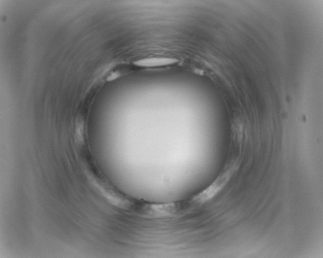 X0000078310188200611251542