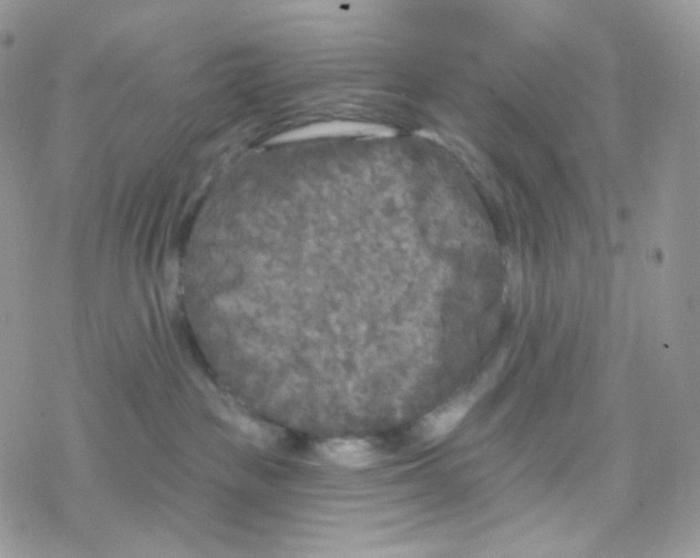 X0000078310189200611251542