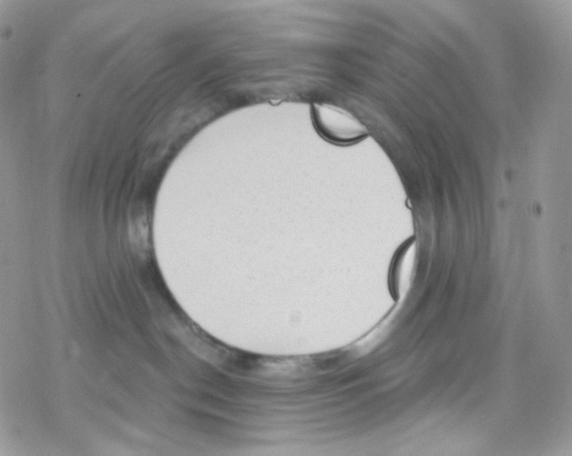 X0000078310190200611251543