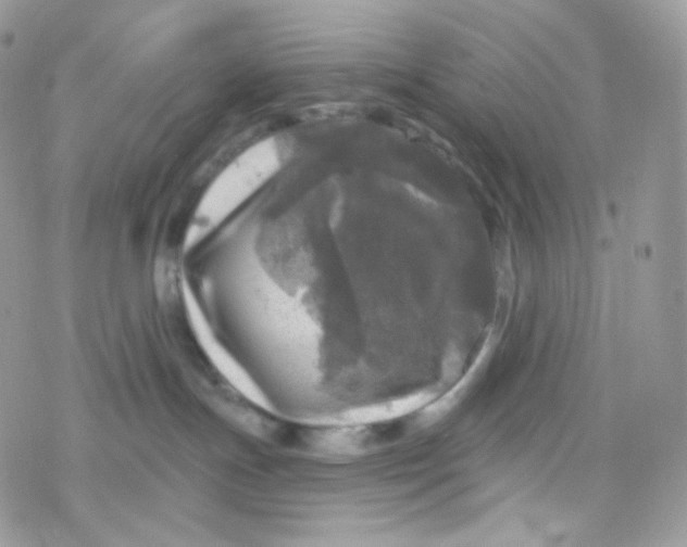 X0000078310191200611251543