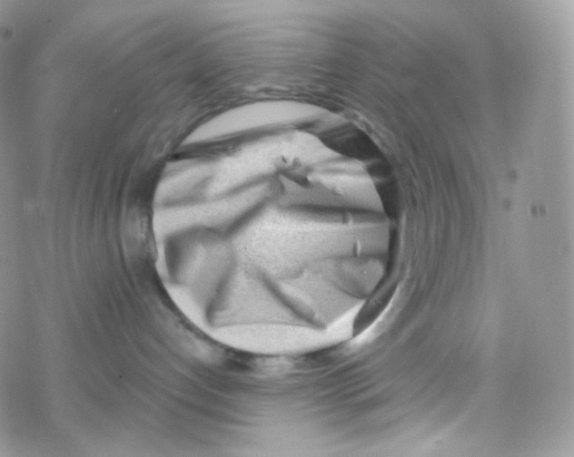 X0000078310192200611251543