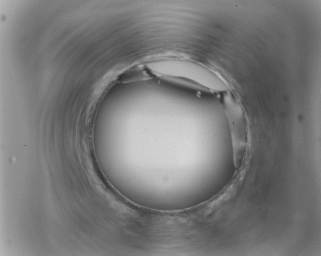 X0000078310193200611251542