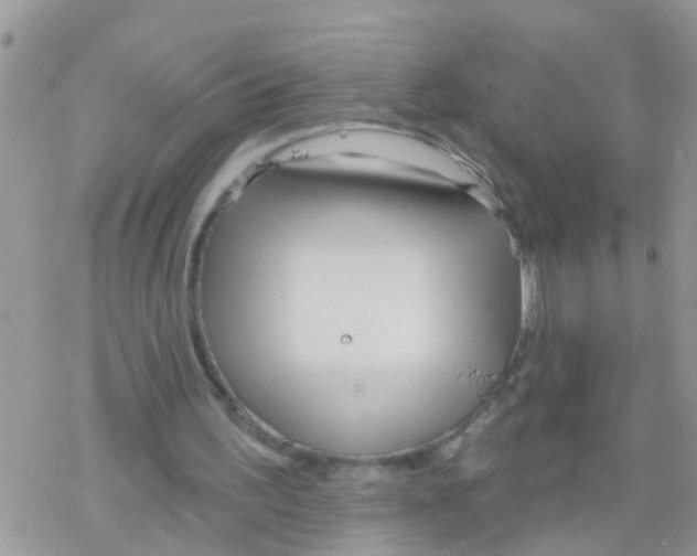 X0000078310195200611251542