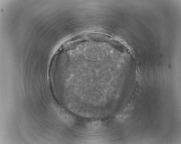 X0000078310196200611251542