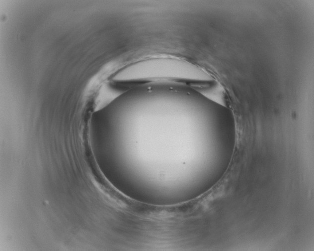 X0000078310197200611251542