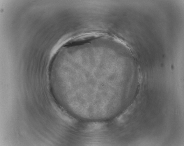 X0000078310198200611251542