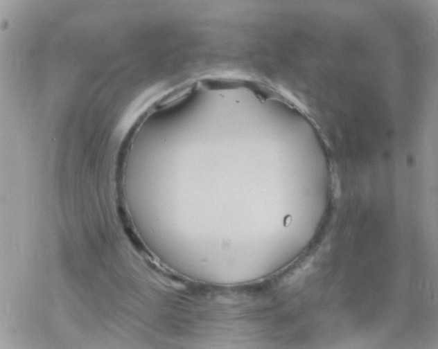 X0000078310199200611251542