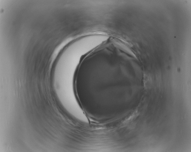 X0000078310200200611251542