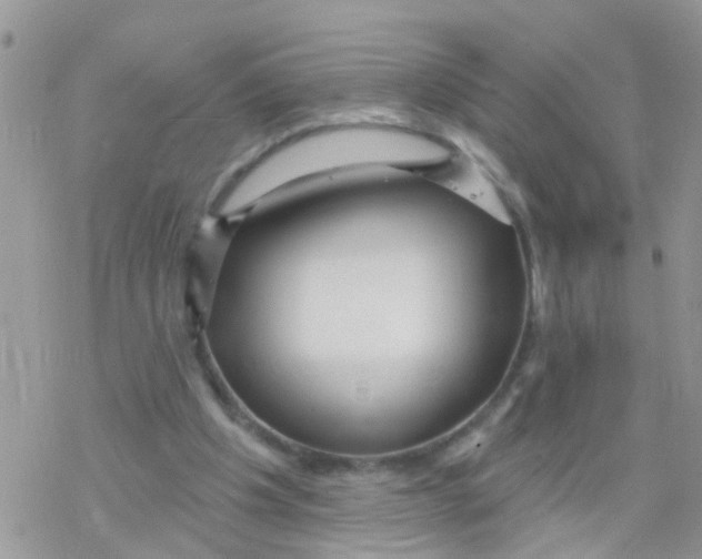 X0000078310201200611251542