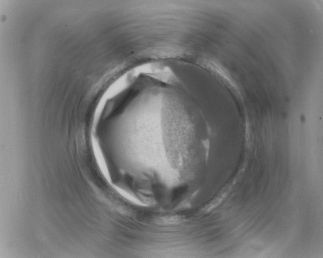 X0000078310202200611251542