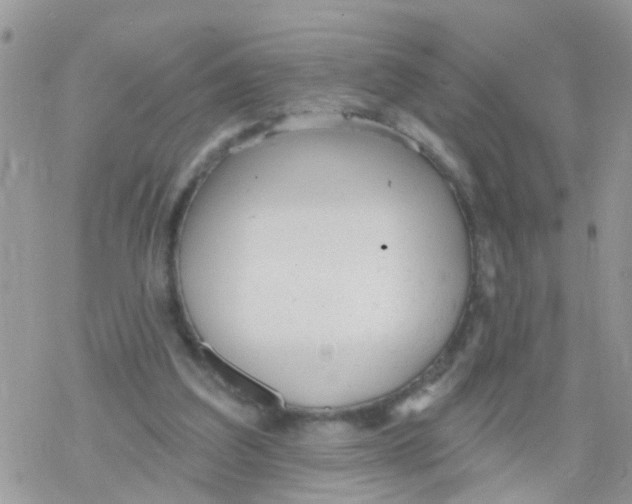 X0000078310203200611251542