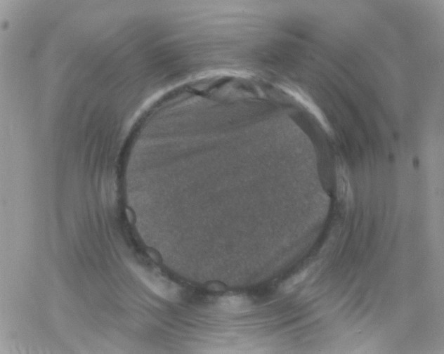 X0000078310204200611251542