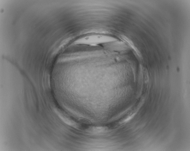 X0000078310205200611251542