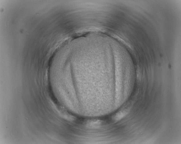 X0000078310206200611251542