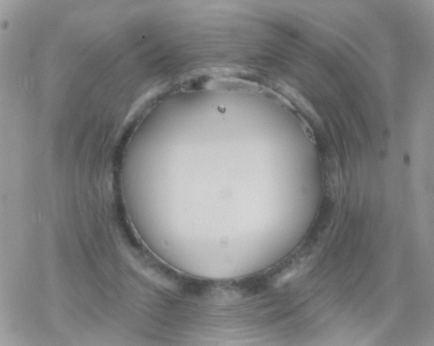 X0000078310207200611251542