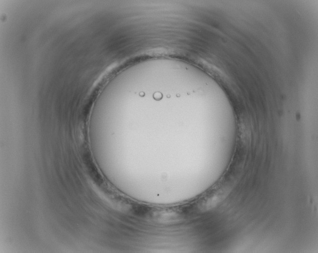 X0000078310208200611251542