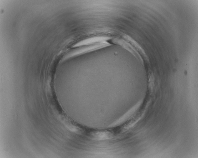 X0000078310209200611251542