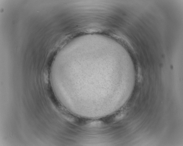 X0000078310210200611251541